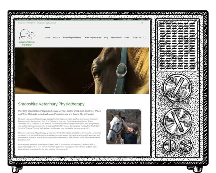 Shropshire veterinary physiotherapy