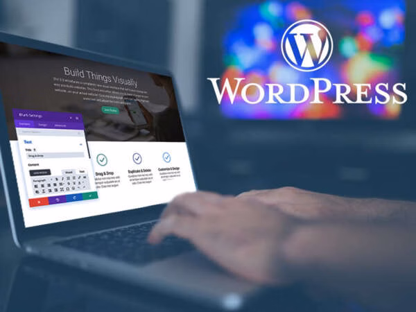 Why businesses choose WordPress & Divi Builder for their website