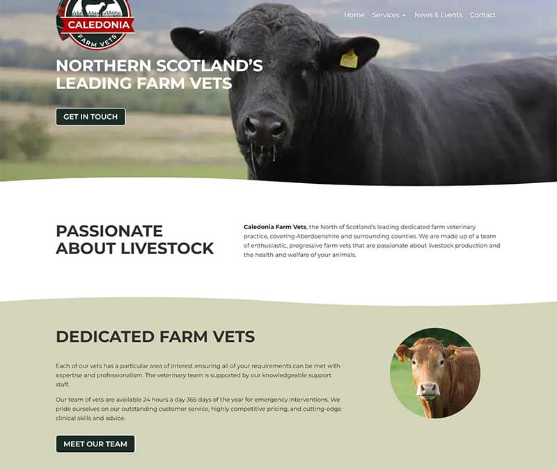 Caledonia Farm Vets